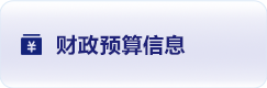 财政预算信息