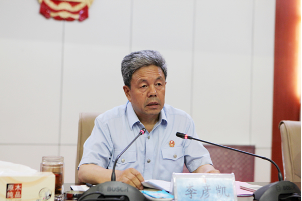 自治区高级法院党组书记,院长李彦凯在推进会上作重要讲话.